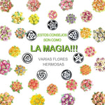 Cargar imagen en el visor de la galería, Boquillas de Acero Inoxidable (13 Piezas) para Magdalenas y Decoración de Pasteles
