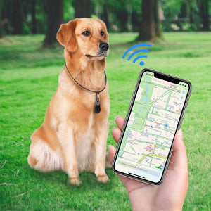Rastreador GPS de mascotas y monitor de actividad para perros y gatos