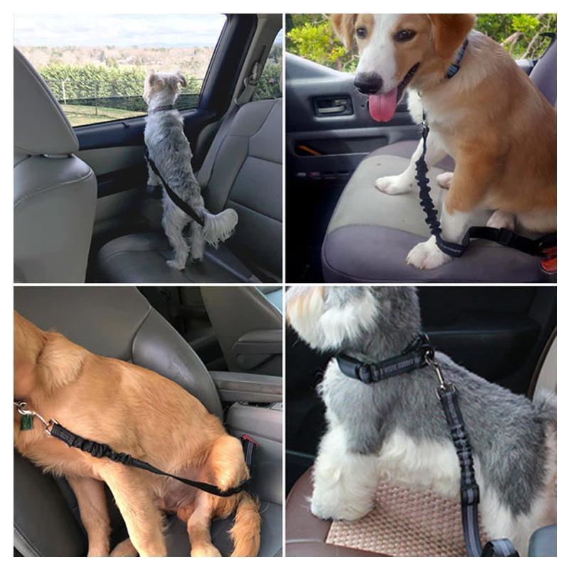 Cinturón de seguridad para perros